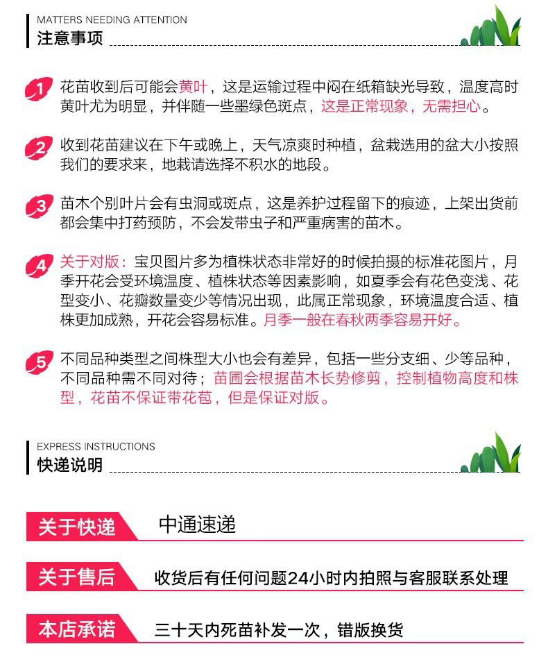 2.jpg?x-oss-process=image/format,png