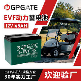 定制贴牌12V 24V 36V 48V 45AH铅酸动力电池6EVF45三轮车专用电瓶