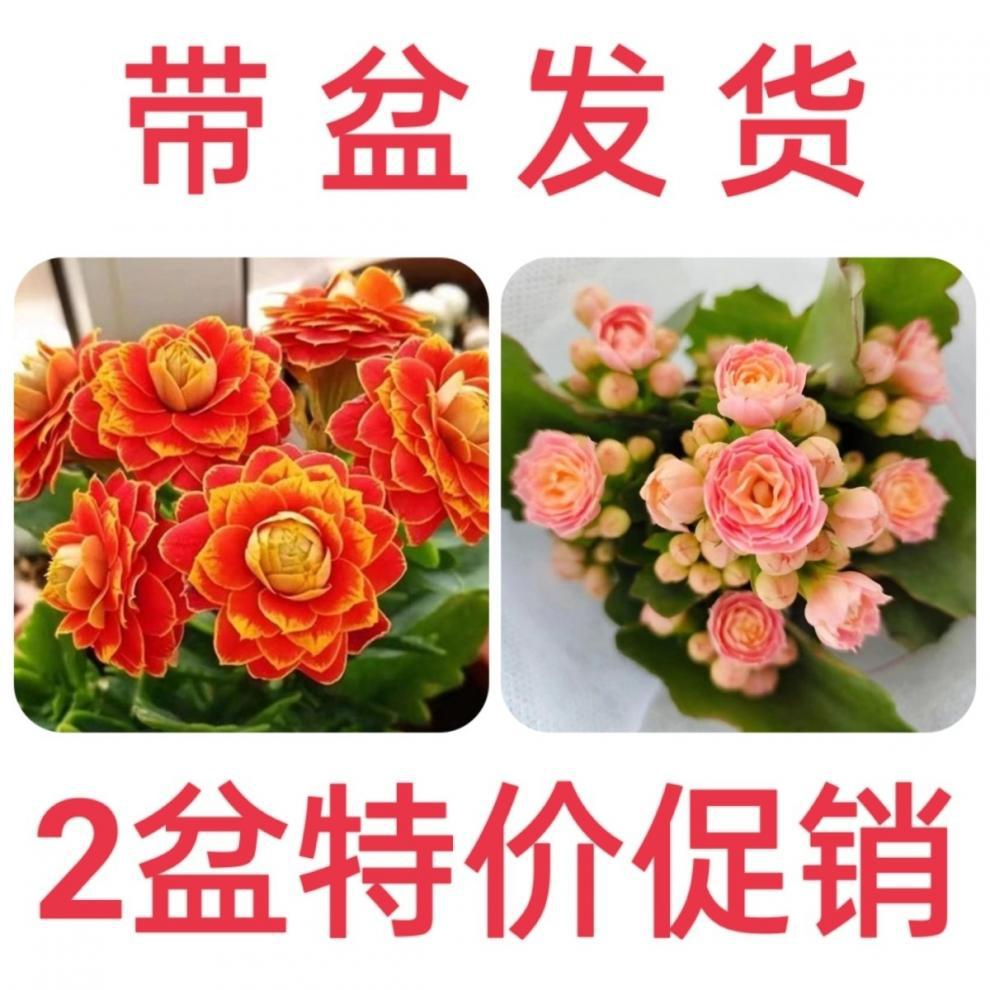 39fd4d63-e3a8-447b-9337-cd6e232a76aa.jpe