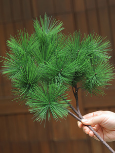 �Rβ��ᘺ����~ӭ����������b��͕��ɘ�֦����@�־G�����~