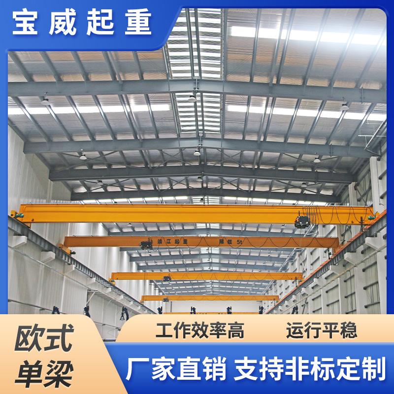 宝威厂家生产 欧式行车 技术可靠 欧式起重机 单梁 品类齐 规格多