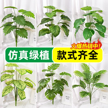 ����Gֲ���~�����~�G�}�٘�G�~������ֲ���k���Ҿӿ͏d�b����l