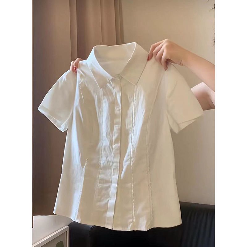 화이트【013부터 고품질】