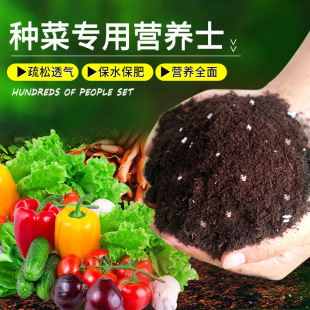 Special Nutrient Soil for Planting Vegetables Organic Fertilizer Nutrient Soil Grass Soil Engineering Greening Peat Soil Roof Vegetable Soil