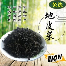 西北野生免洗地皮菜 精选免洗 地软地耳地达菜雷公菌甘肃特产包邮