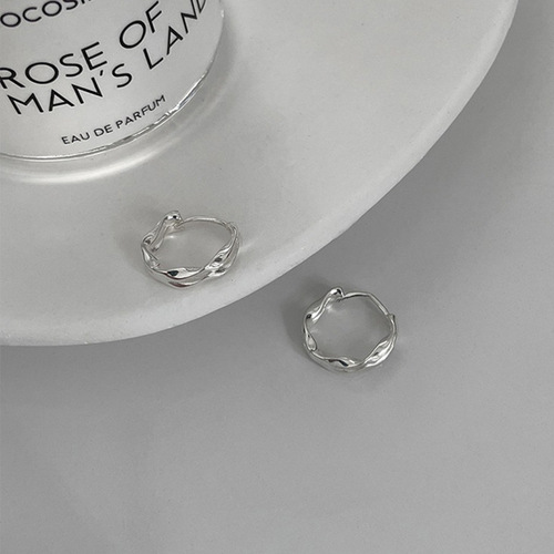 Double Helix Möbius Ring Earrings for Women, Simple and Fashionable, Cool and Trendy, Wave-Shaped Round Plain Hoops