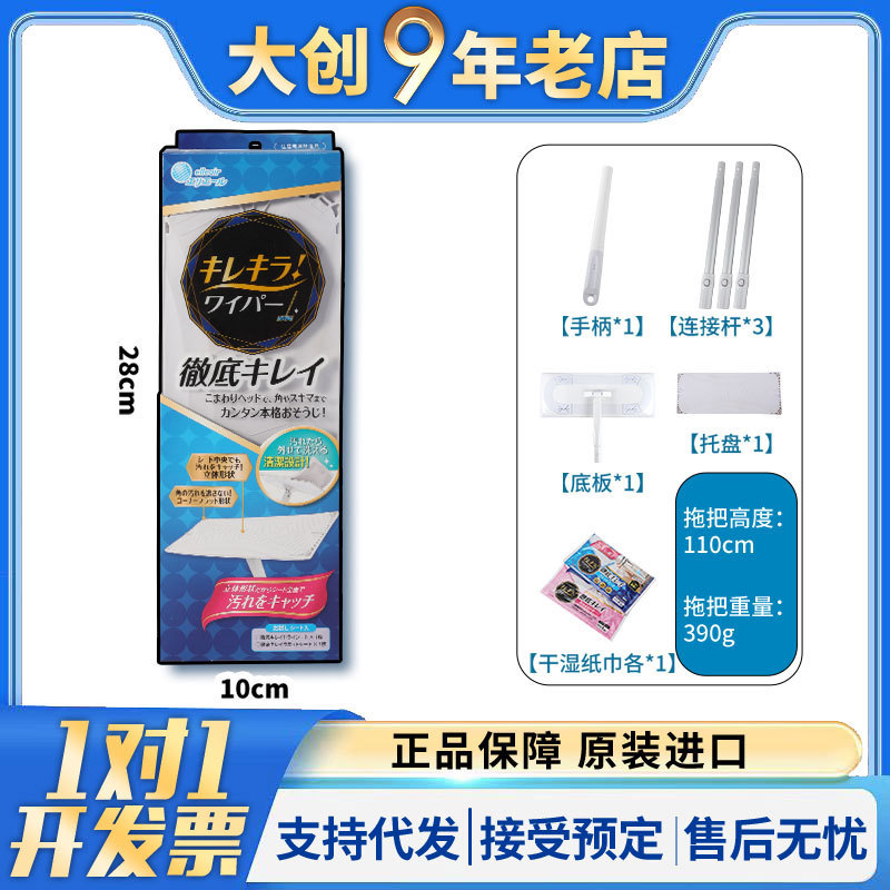 Japanese electric mop