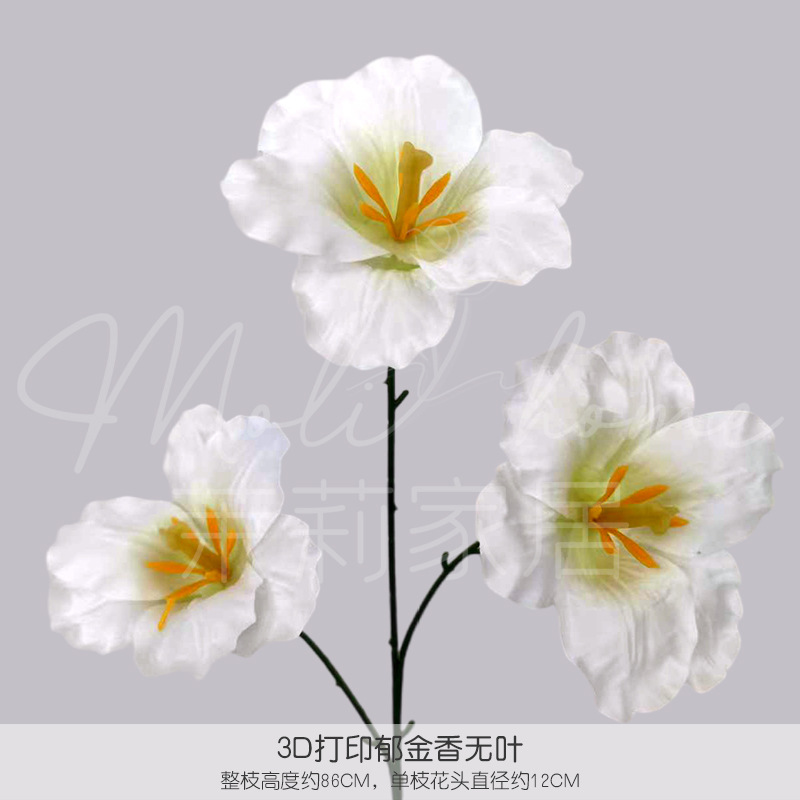 화이트 1#-잎이 없는 튤립 3D 프린팅