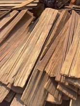 FɼľľƬT^TLľ⠝bo