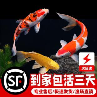 ���N�\����S�^�p�~���~���ͼt����ˮ��ˮ�~���B�ͻ���~�t���~