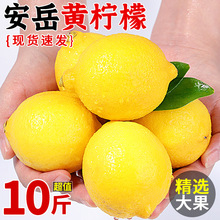 四川安岳黄柠檬10斤当季新鲜水果皮薄香水鲜甜柠檬青整箱包邮
