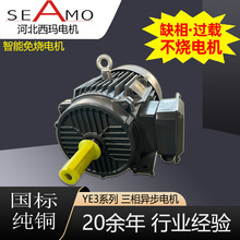 河北西玛电机定制生产YE3卧式112M4级4千瓦三相异步电动机