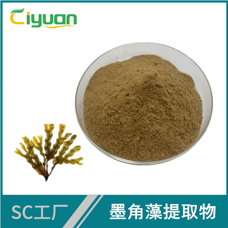 墨角藻提取物10:1 褐藻提取物 墨角藻多糖 工厂库存供应 包邮