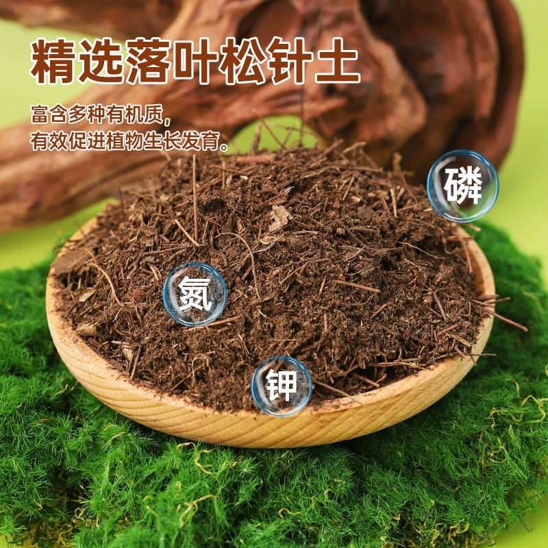 Схема сосновой иглы, разложенный почвенный грунт для цветов и рассады, общее посадка цветов в горшках, домашнее посадка цветов, органический питательный почвенный грунт, разложенный листовой почвенный грунт