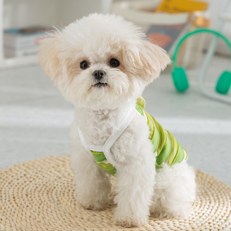 La primavera y el verano delgados transpirables perro rayado pescado tridimensional tracción Sling gato pies lindo perro mascota ropa