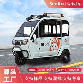 电动三轮车;其他电动车