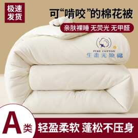 a类天然新疆棉花被加厚保暖冬被单人学生宿舍棉被四季被芯春秋被