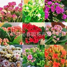 �L�ۻ��N�������һ�ϡ��Ʒ�N�L�ۻ��ذ�󻨻�ɫ�N���ļ��_��