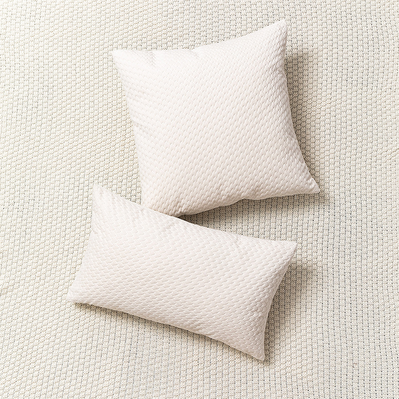 New Nordic Simple Dutch Velvet Three-Dimensional Embossed Twill Large Pillow Cushion Sofa Waist Pillowcase_voghion.com