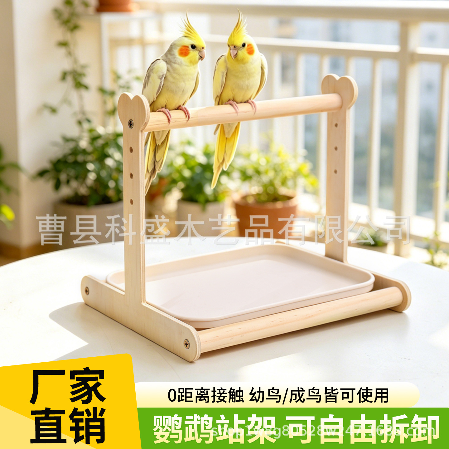跨境鹦鹉站架定点排便拉屎神器牡丹玄凤专用站杆桌面训练站台鸟架