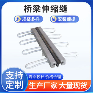 Manufacturer Supplies Bridge Expansion Joints, Steel Structure Buildings, Special-Shaped Steel Bridge Deck Expansion Devices, and Galvanized Road Joints