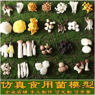 ��Ұ����100�Nʳ�ò���̫�����^�[������Ģ���b����@ˇ�����^