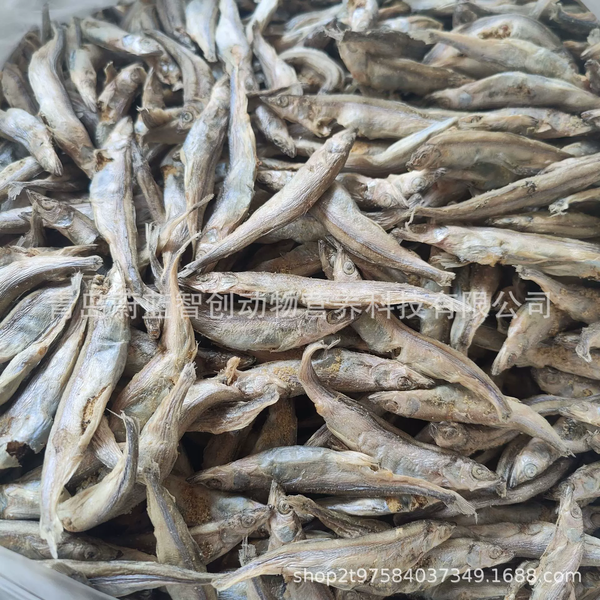 实力工厂 宠物冻干多春鱼零食 单冻带籽加拿大狗狗猫小鱼干500g