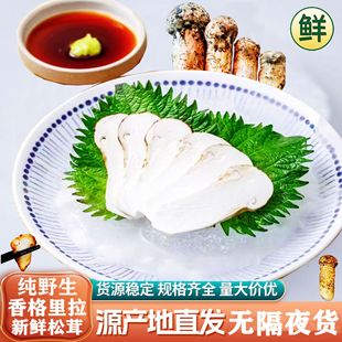 ����خa���l����������r���ז|�������r��ȫ�S�ͼ�ˮ�����r�r��