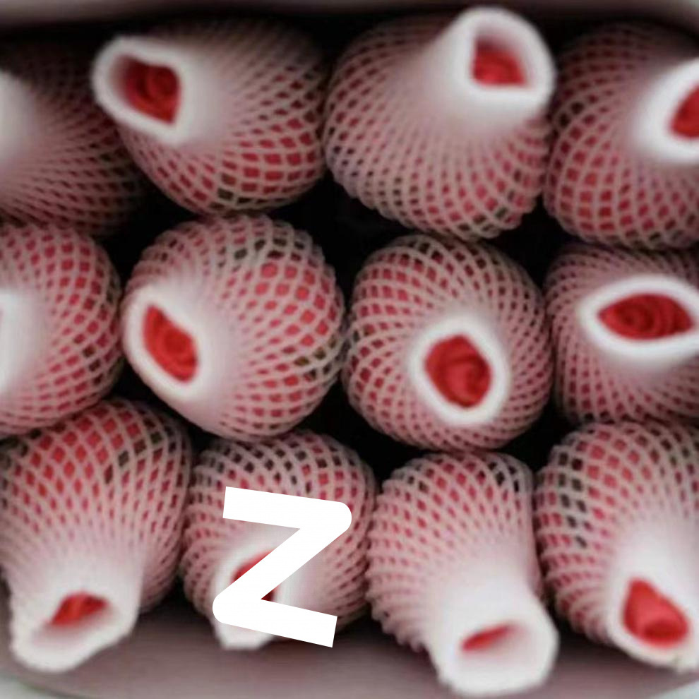 2c051bce-e587-4904-bcaf-7eba082d9827.jpe