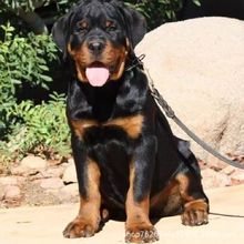 ���l���N���͵�ϵ�_���{����Ȯ��Ȯ���w������ͥ�o�lȮ����Ȯ����