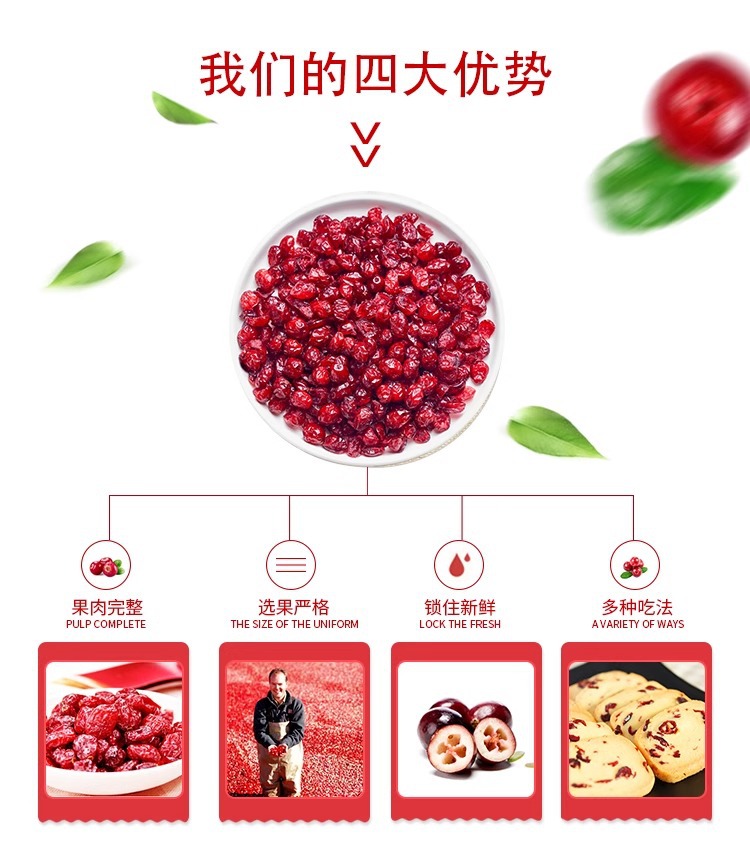 Dried Cranberries 100g Jar Sun Dried Fruit Snack for Baking and Culinary Use quality and texture