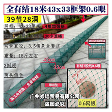 有结网虾笼渔网鱼笼养殖小龙虾捕大留小逮龙虾螃蟹全有结捕虾网笼