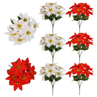 ����羳�����߲���滨���q���ٻ�һƷ�t�������}�Q�͏d�b[��