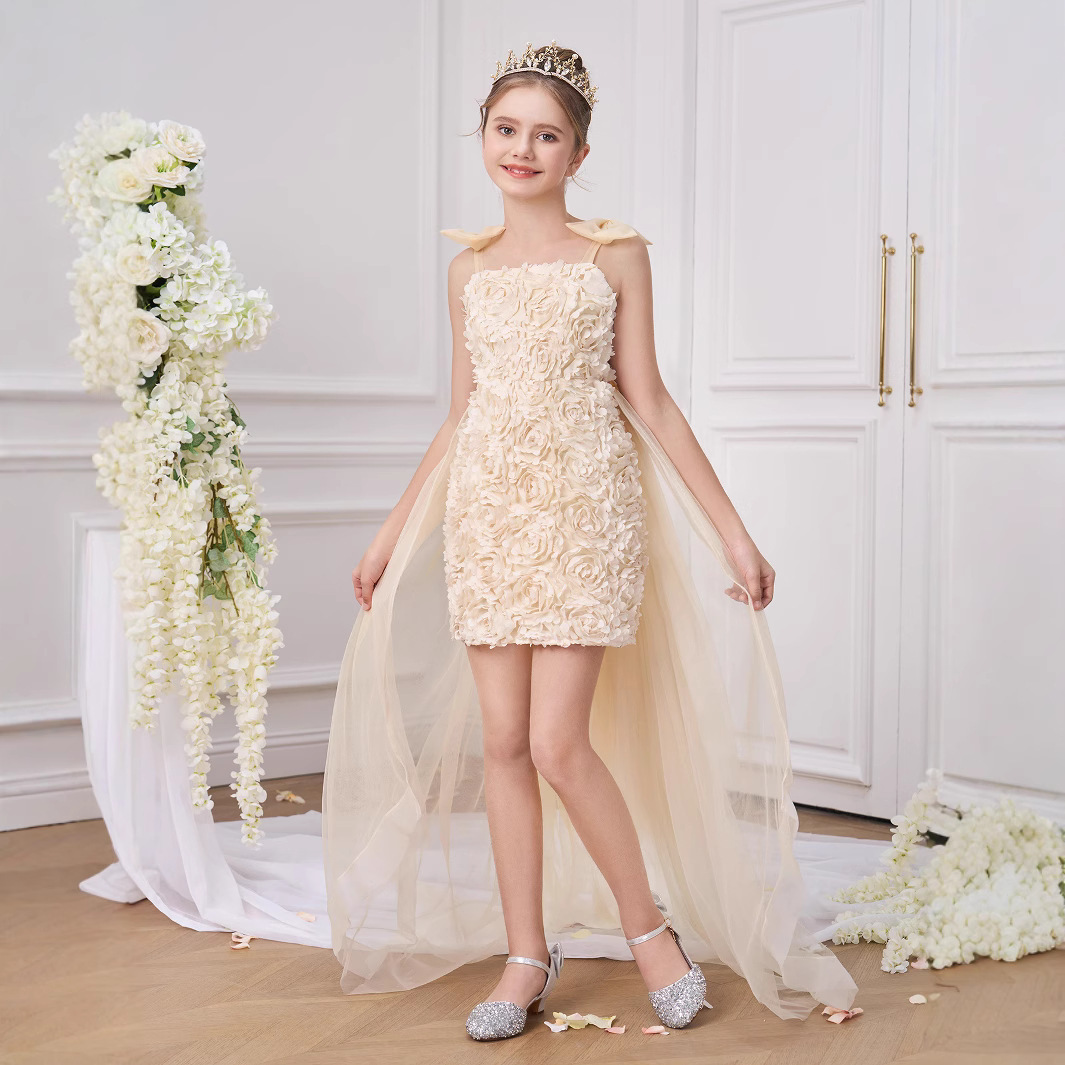Vestido de niño transfronterizo, vestido de princesa, vestido de anfitrión, vestido de fiesta de niña de flores, vestido de noche de un año de bebé