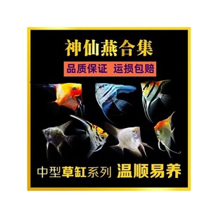 ���~ħ���~�����~�������{ħ�^�p�~���B�ͻˮ���B�ᎧС���~
