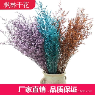 永生花情人草跨境干花工厂批发家居婚庆插花装饰吸色漂白情人草
