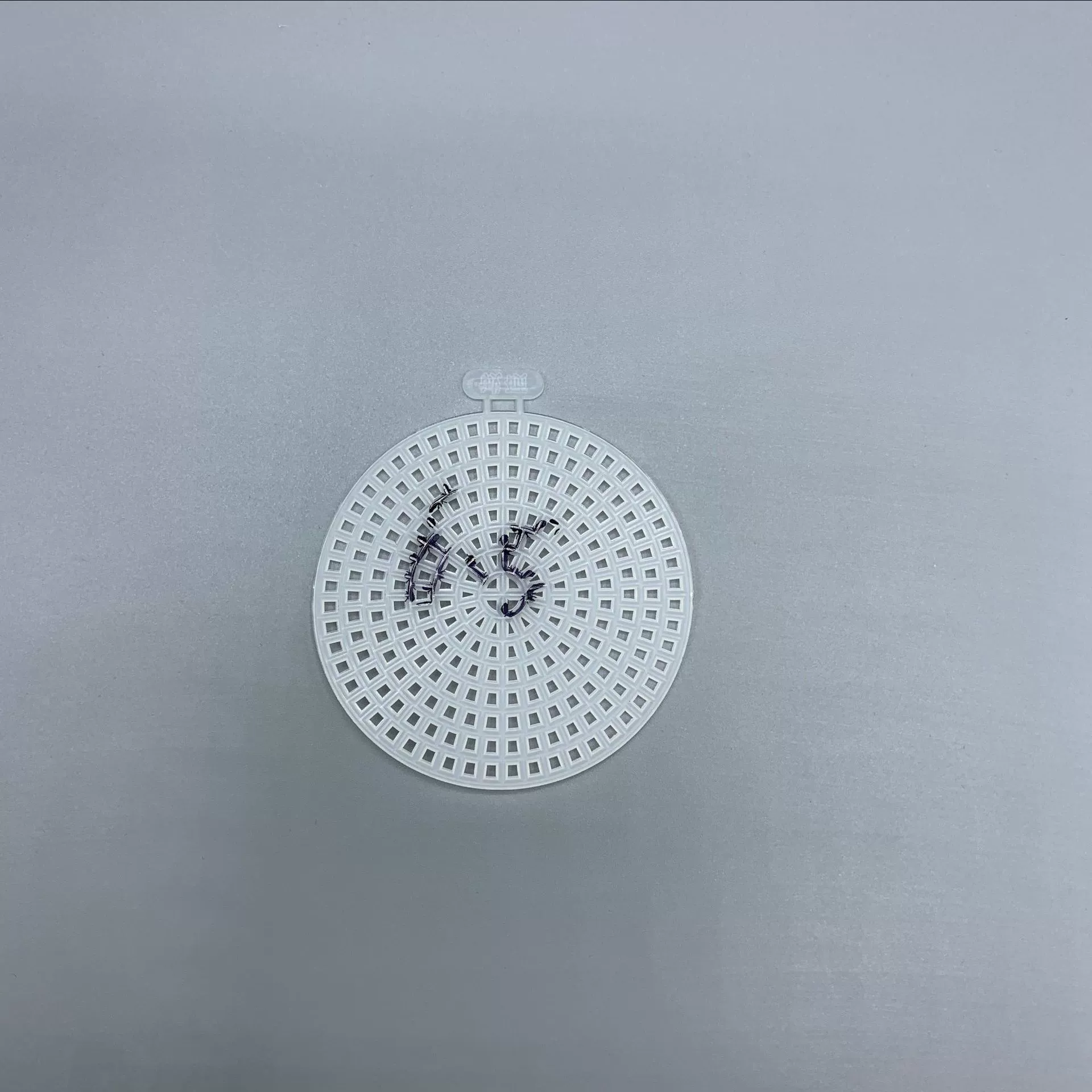 DLY студент тканый пластиковый сетчатый кусок круглый тканый мешок внешней торговли Нижняя подкладка dly6.2cm пластиковая вышивка крестиком