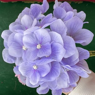 �����ָ��z�^����cܛ�b�Ҿ��Ɍ��zӰ�����b[�ŷ�����滨