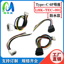 ˮĸtypec2о늲USB3.1ӿ2P type-cĸ