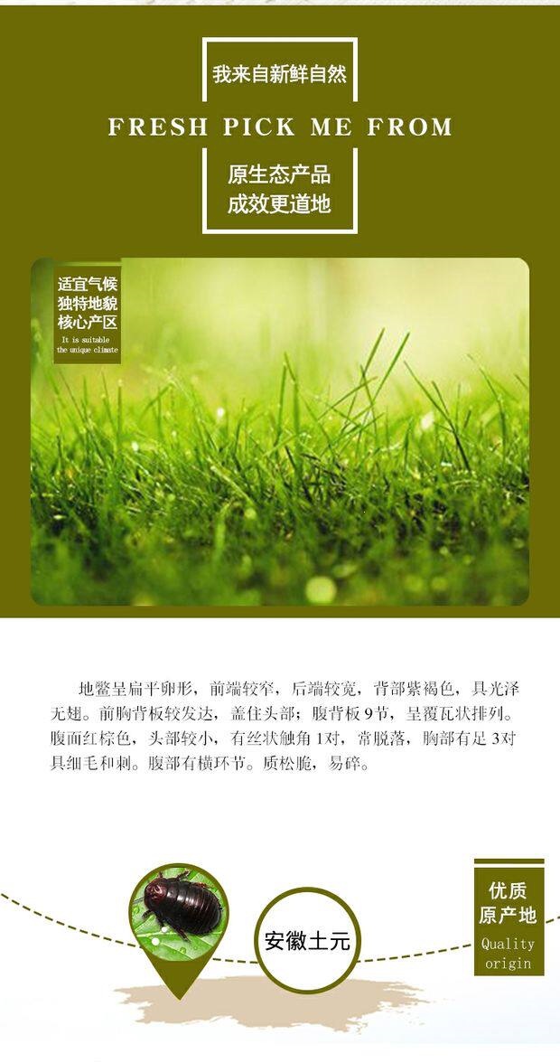 Dried Ground Beetle Tu Bie Chong 500g Loose Traditional Chinese Herb key features