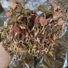 ���ڽ�ɏ��Ʒ�������Ǹ��o�~ɢ���؛�o�s�|��ɏ���r����Ȼ