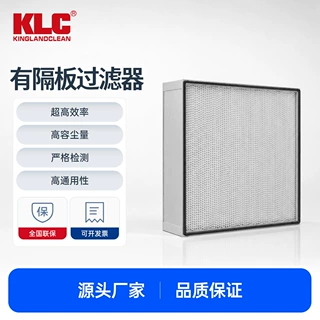 有隔板高效过滤器 耐高温耐高湿 电子厂净化设备 阻力低寿命长