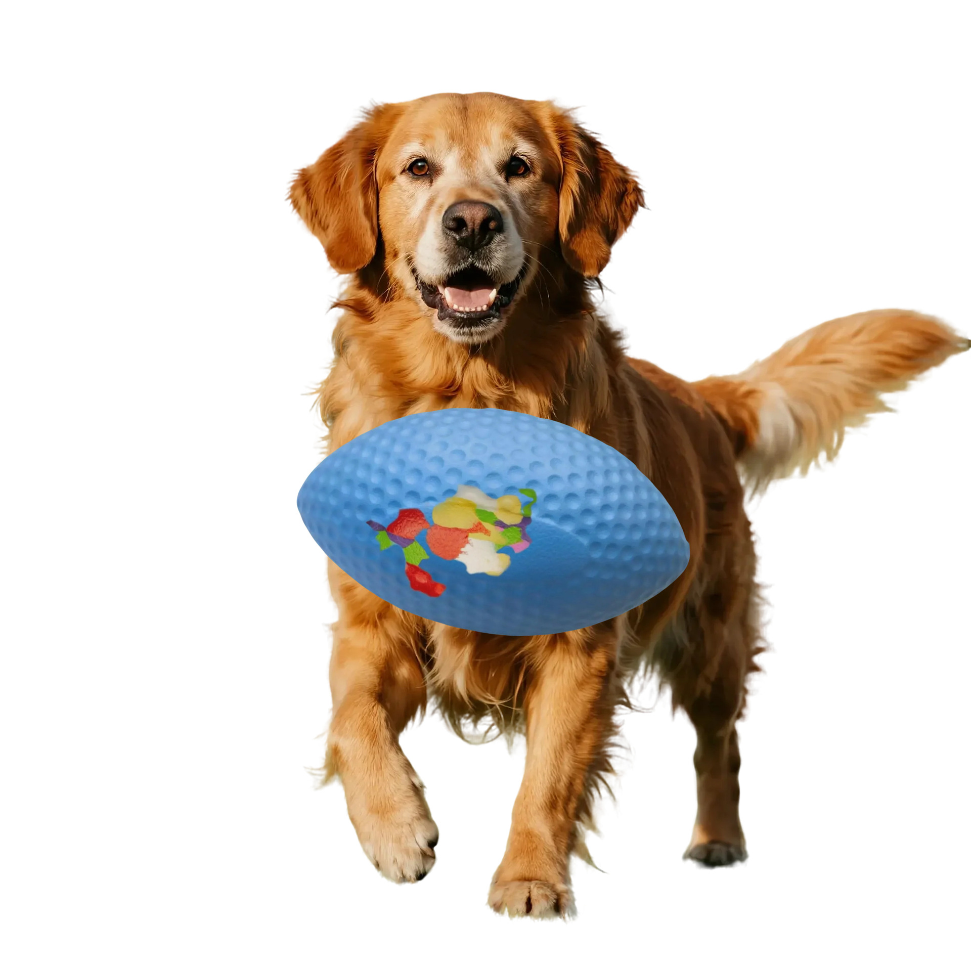 Camouflage Rugby Dog Toy Pet Supplies Ball-Shaped Self-Entertainment Boredom-Relief Dog Training Interactive Bite-Resistant Teething Ball Toy