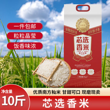 ������о�x���� 10�� ���� ��հ��b ؈���� �L���� �����L����