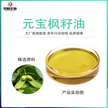 元宝枫籽油神经酸≥5新资源食品植物元宝枫籽提取物元宝枫籽油