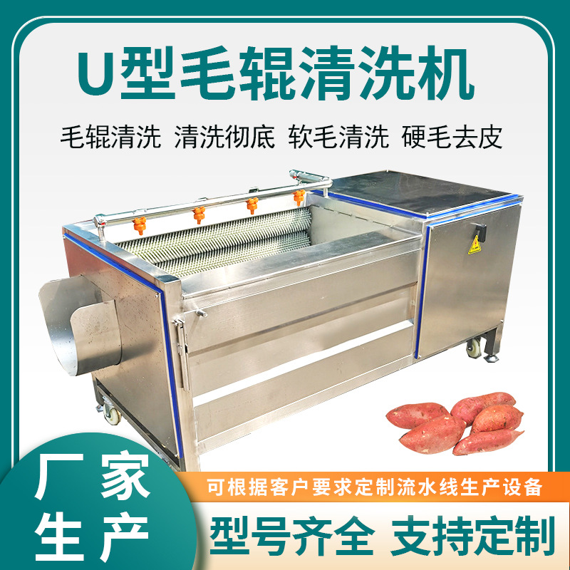 红U薯型毛辊清洗机 中药材黄芩清洗设备鲤鱼去鳞机不锈钢清洗设备