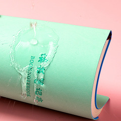 Customized Student Notebooks for Summer Vacation Extracurricular Reading - Thick Notebooks for Copying Good Words and Sentences