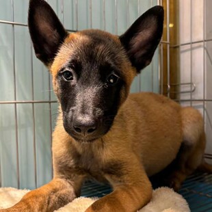 ���l���N�RȮ��Ȯ���w����Ȯ�RȮ���l�r������r��ĿС�RȮ�o�l��