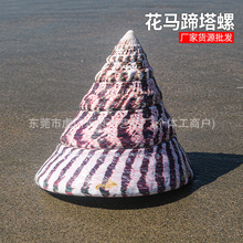 ���R��������Ȼ����ؐ���~���쾰ˮ���bt���ݼҾӔ[�����l