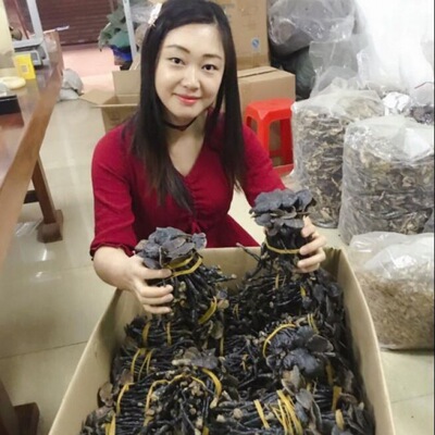 Mangosteen wholesale Mountains Ganoderma lucidum Black Ganoderma Physical store Rosie Black Ganoderma Nyingchi Paojiu Ganoderma lucidum Medicinal material